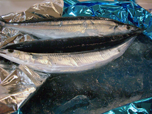 sanma12.jpg